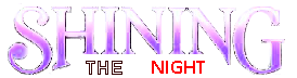 Shining The Night